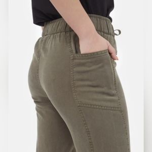 Tentree Colwood Joggers in olive green